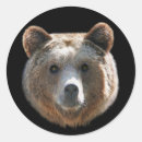 Suche nach grizzly aufkleber Tiere