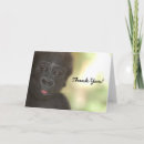 Recherche de singe gorille vœux cartes Chimpanzé