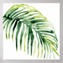 Suche nach palm leaf poster Palmen