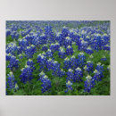 Suche nach feld poster Wildblumen