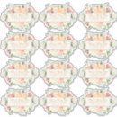 Recherche de rabat autocollants Aquarelle