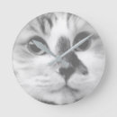 Recherche de black cat horloges Animal
