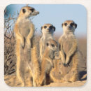 Suche nach kalahari untersetzer Trocken