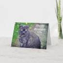 Recherche de pose vœux cartes Animal