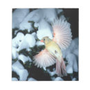 Suche nach flug notizblock Wildtiere