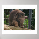 Recherche de pied de bébé posters Enceinte