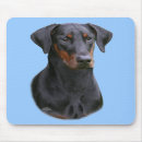 Suche nach pinscher mousepads Dobermann