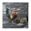 Suche nach huhn fliesen Hähnchen