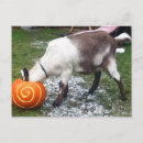 Recherche de élevage photographie Ferme
