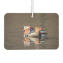 Recherche de canard voiture accessoires Nature