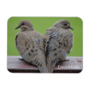 Recherche de colombe magnets Oiseau