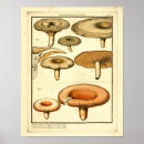 Suche nach orange und braun poster Vintag