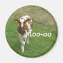 Recherche de veau magnets Laitier