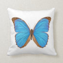 Suche nach schillernder schmetterling Blau
