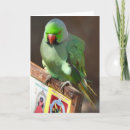 Suche nach singen sie karten Vogelvogel