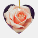 Suche nach lavendel blumen ornamente Rose