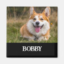 Suche nach hund magnete Braun