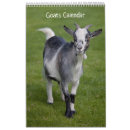 Suche nach ziegen kalender Bauernhof