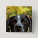 Suche nach lustige jagd buttons Niedlich