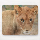 Suche nach fleisch fressende tiere mousepads Katze