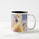 Recherche de banquise tasses Ours