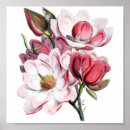 Suche nach rosa magnolie poster Baum