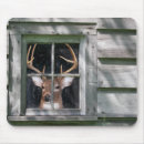 Suche nach blind mousepads Jagd