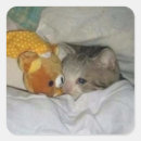 Suche nach ihr sind alle traurig aufkleber Katze