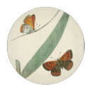 Suche nach blatt schneidebrettchen Schmetterlinge