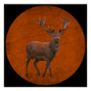 Recherche de cerf vintage posters Nature