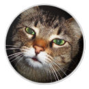 Recherche de chat tigré boutons et poignées de porte Pour tous