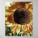 Recherche de mammouth art Faune