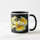 Recherche de plumeria tasses Fleurs de plumeria