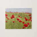 Suche nach mohnblumen puzzle Feld