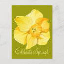 Recherche de fleurs de narcisse cartes postales Floraison