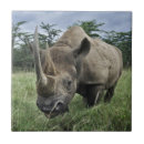 Suche nach nashörner untersetzer Horn