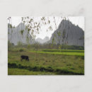Suche nach guilin postkarten Landschaft