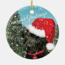 Suche nach frohe festtage ornamente Festlich