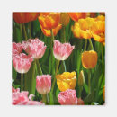 Suche nach für floristen magnete Gärtner