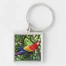 Suche nach macaw schlüsselanhänger Vogel