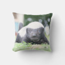 Recherche de de blaireau coussins Faune