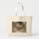 Recherche de chat de ragondin du maine sacs Chats