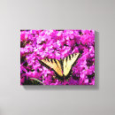 Suche nach rosa schmetterlinge poster leinwandbilder Tierwelt