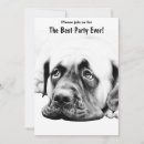 Suche nach bullmastiff postkarten Mastiffs