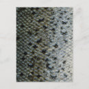 Suche nach voller rahmen postkarten Natur