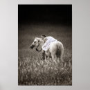 Suche nach western horse poster Pony