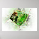 Recherche de plante posters Flore