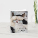 Suche nach traurige augen karten Katze