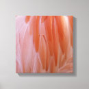Suche nach rosa flamingo leinwandbilder Natur