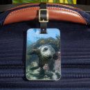Recherche de phoque bébé accessoires Mer